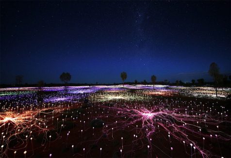 Miles de flores conquistan el desierto australiano con Field of Light
