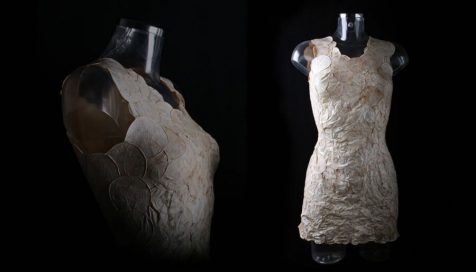 El asombroso tejido de micelios de Aniela Hoitink