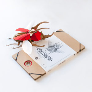 escarabajo rojo atlas con su caja plana