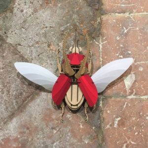 escarabajo atlas rubi red en batavia