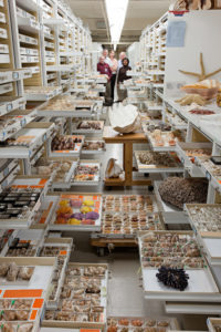 colección de museo nacional de historia de la naturaleza