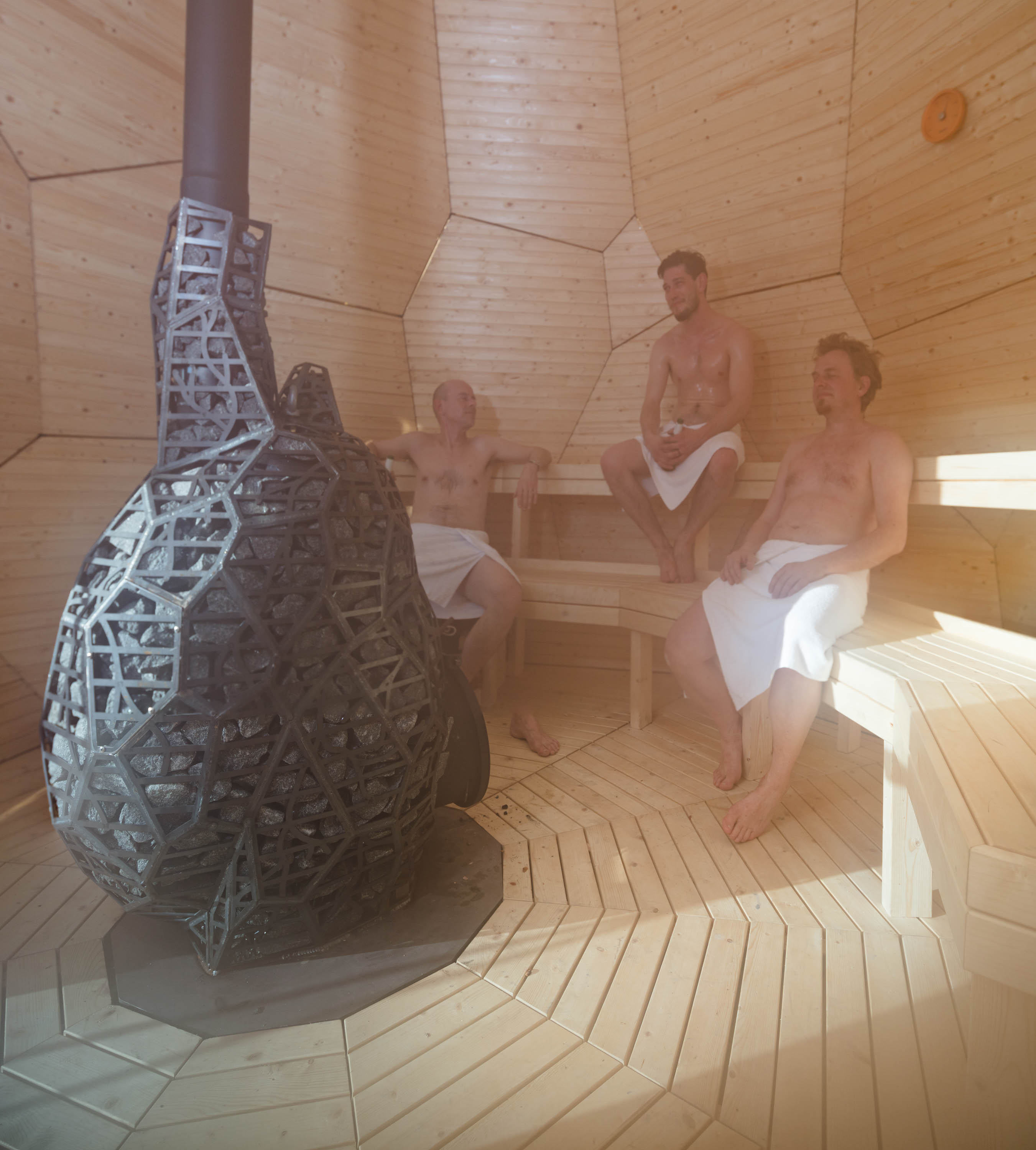 interior sauna solar egg