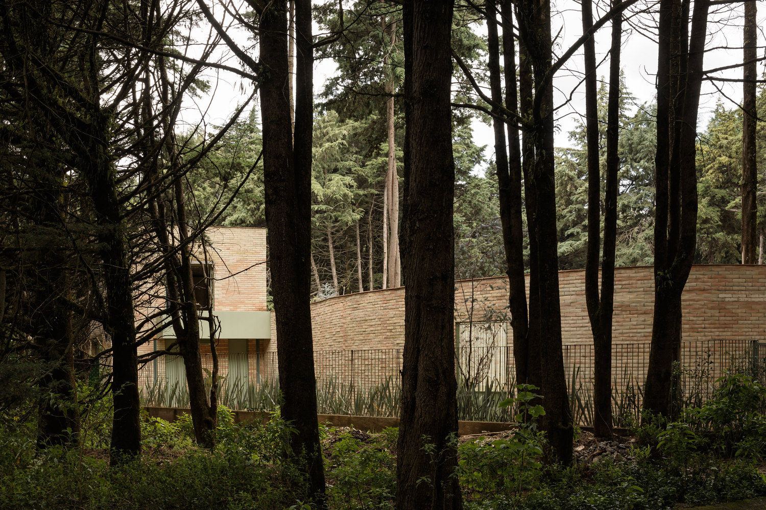 Forest House de LANZA, fotografía exterior desde el bosque